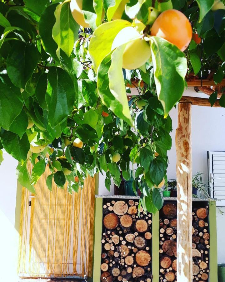 Quinta Da Barroquinha ξενώνας Vale de Prazeres Εξωτερικό φωτογραφία